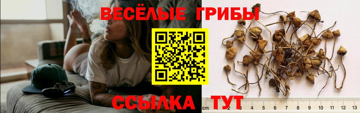 Галлюциногенные грибы мухоморы  Вход с VPN  Протвино 